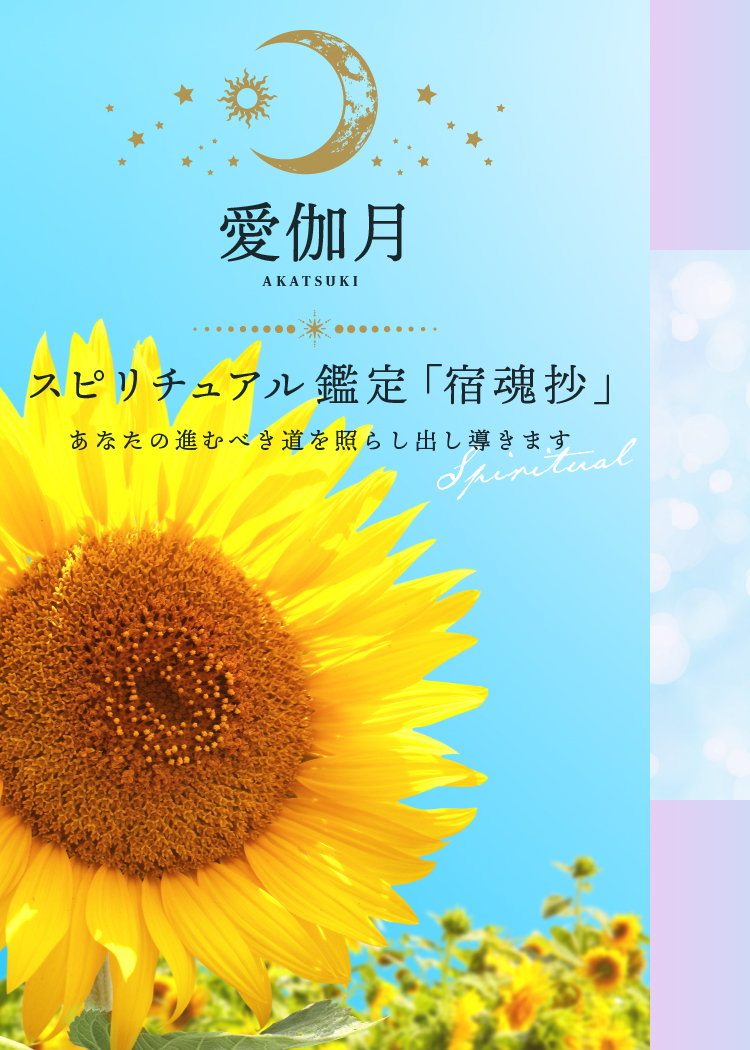 スピリチュアル鑑定「宿魂抄」 あなたの進むべき道を照らし出し導きます